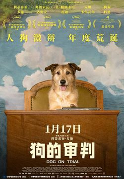 狗的审判